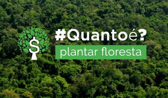 quantoe